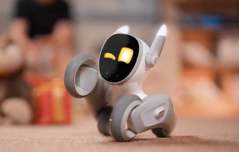 این ربات بامزه از خانه شما محافظت می‌کند
