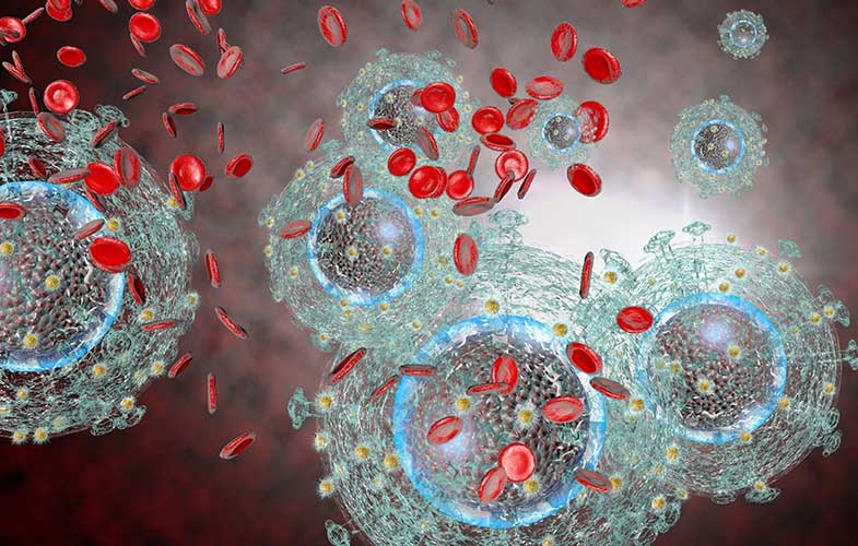 8 ویروس که در ایجاد سرطان نقش دارند