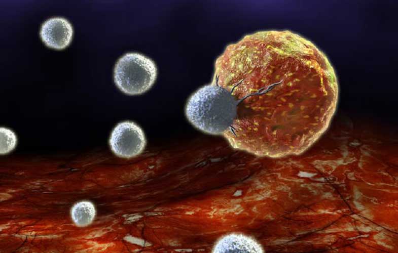 واکسن جدید سرطان که سلول‌های تومور را به سلول‌های ایمنی تبدیل می‌کند