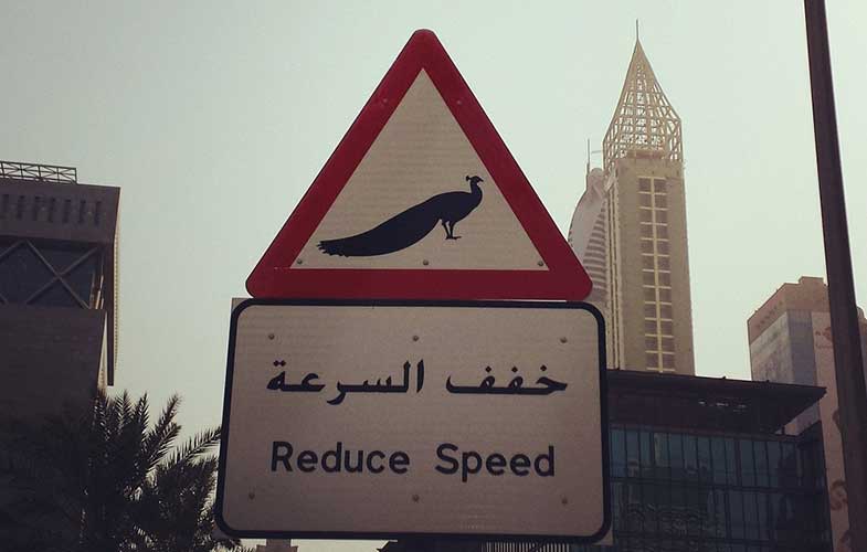 عجیب ترین تابلو در خیابان های دبی! (عکس)