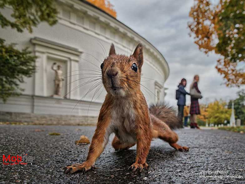 عکاسی خیابانی در روسیه : مردم، حیوانات و سوژه های جالب! (بخش اول)