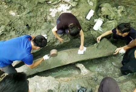 بیرون کشیدن استخوان‌های باستانی غول‌آسا از اعماق جنگل‌های تایوان