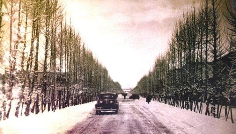 طولانی‌ترین خیابان تهران ؛ ۸۶ سال قبل (عکس)
