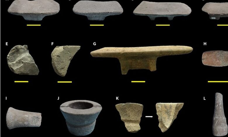 کشف بقایای «دارچین و زنجبیل» روی هاون‌های دو هزار ساله (+عکس)