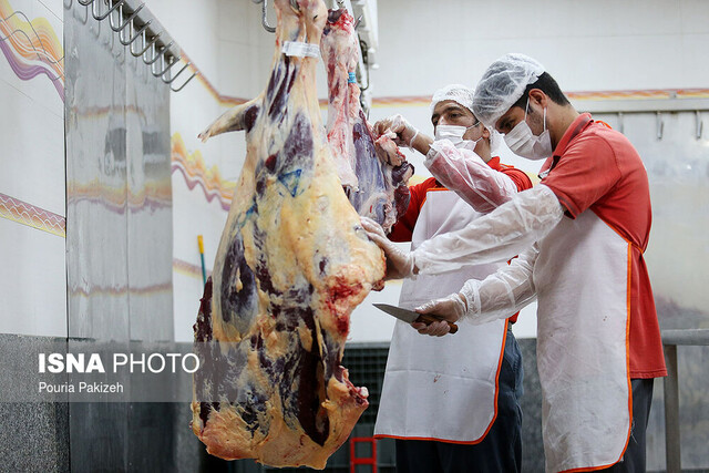 تولید ۳۰۰۰ تن گوشت قرمز در استان قزوین