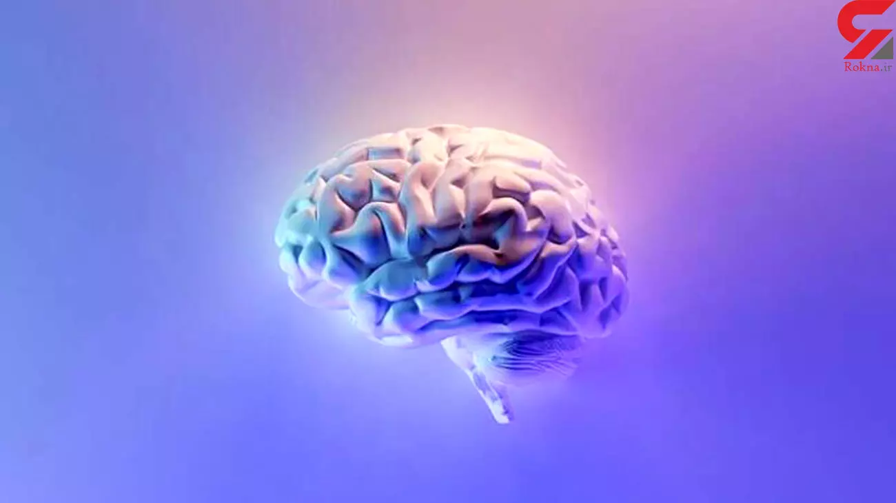کشف تفاوت‌های مغزی در افراد دارای وسواس فکری-عملی