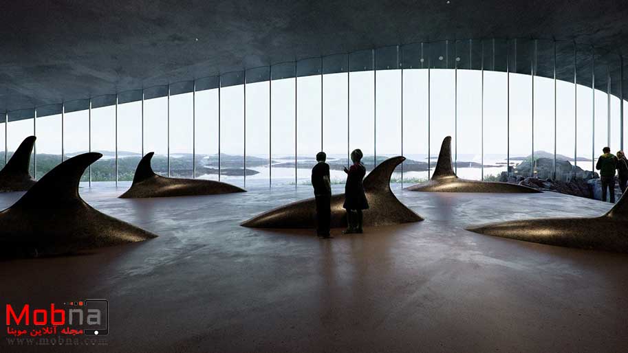 موزه نهنگ ها در نروژ (عکس)