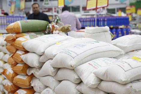 جزییات عرضه ارزان برنج ایرانی