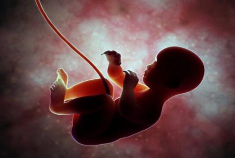 سخنگوی وزارت بهداشت: غربالگری جنین ممنوع نیست/ هیچ محدودیت جدیدی برای تولید و توزیع کیت های غربالگری جنین ایجاد نشده