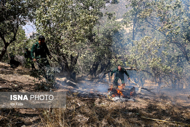 وقوع آتش‌سوزی در ۲۵ هکتار از اراضی چهارگانه استان تهران طی سال جاری