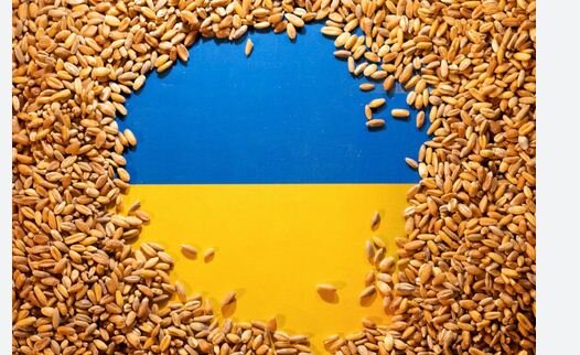 لهستان ممنوعیت واردات غلات اوکراین را تمدید می‌کند