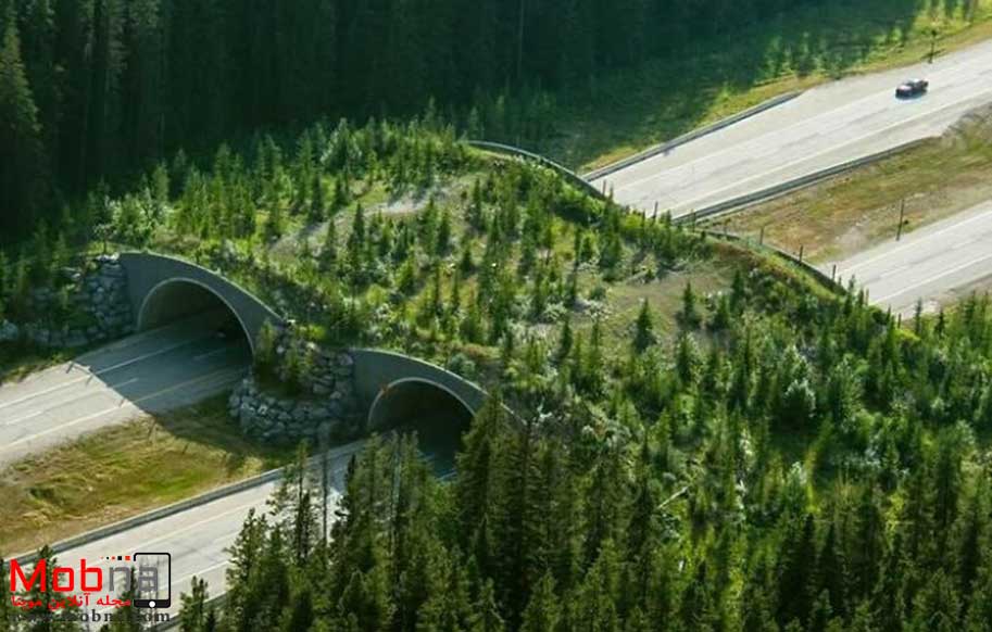 پل بسیار زیبا در کانادا (عکس)
