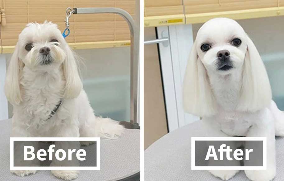 قبل و بعد آرایشگاه ! (عکس)