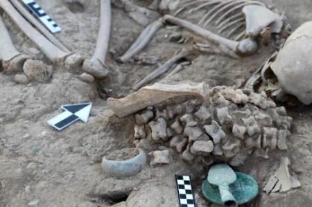 یافته‌های عجیب در یک مقبرۀ سه هزارساله؛ استخوان‌های قوزک و تصویر قورباغه