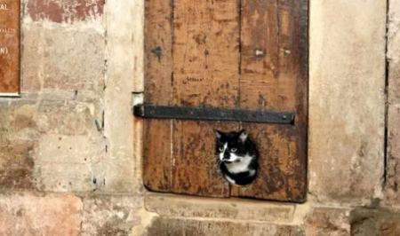 قدیمی‌ترین درب «گربه‌رو» جهان کجاست؟!