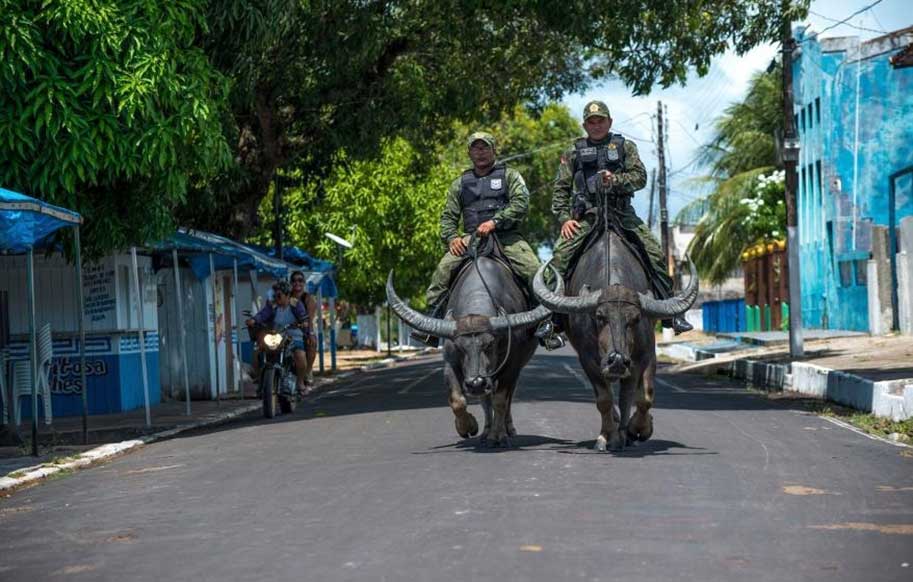 پلیس گاومیش سوار ؛ با هدف تقویت ایمنی و حفظ فرهنگ مردم! (+عکس)