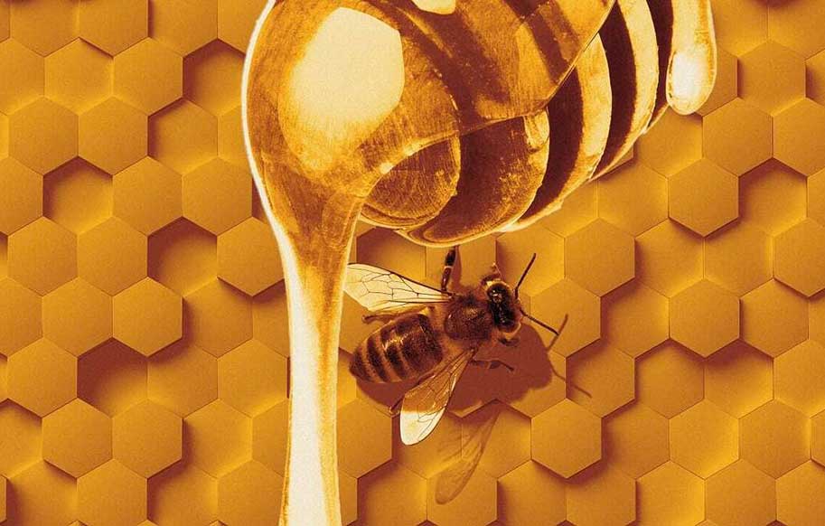 عسل می خورید نه مدفوع و استفراغ! (+فیلم و عکس)
