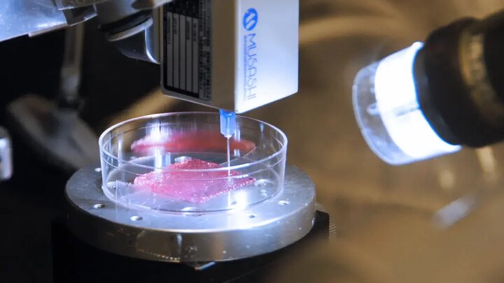 چاپگر پوست برای درمان زخم‌های عمیق ابداع شد
