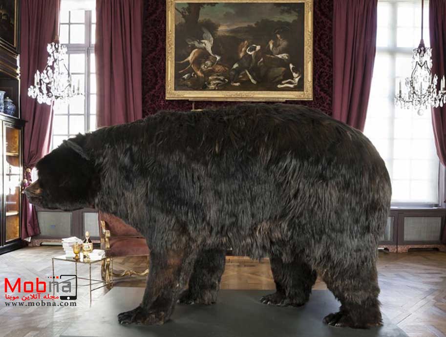 این بزرگترین خرس دنیا نبود اما قطعا تجربه ای عجیب در سال 2014 بود! (+عکس)