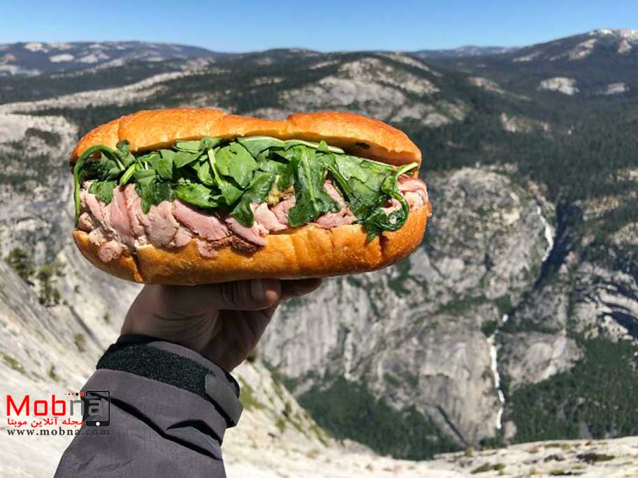 ساندویچ ؛ عجیب ترین گروه فضای مجازی! (+عکس)
