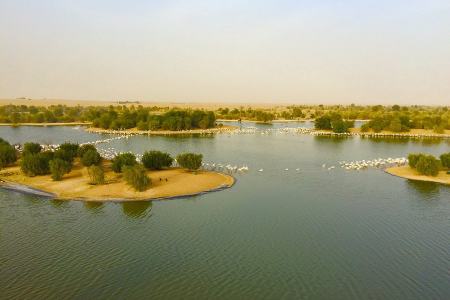 دریاچه‌های القدرا: مقصدی متفاوت در دبی