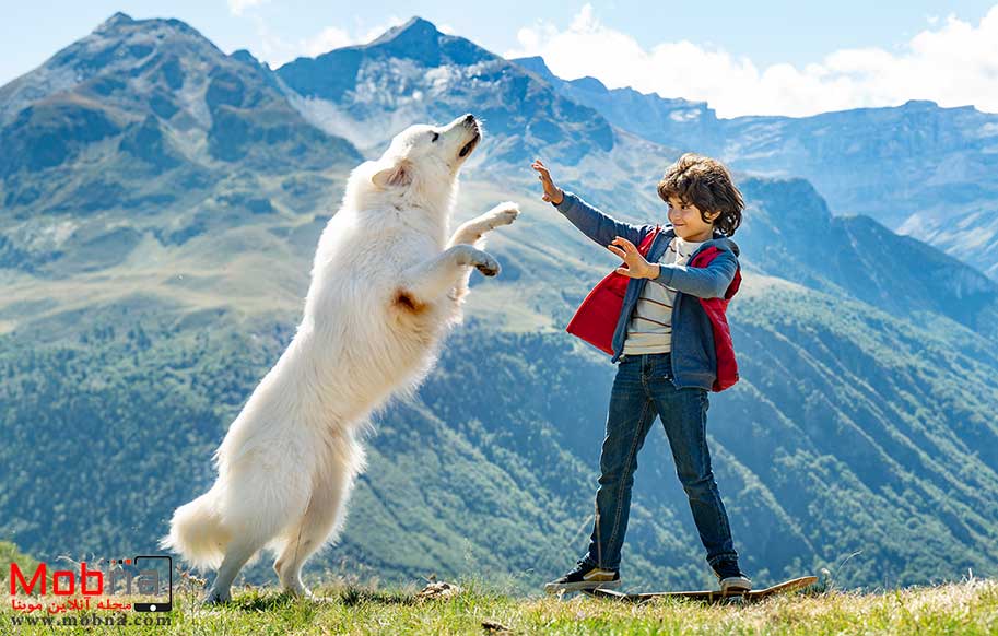 بل و سباستین ؛ درباره یک اثر که با سگ کوهستان پیرنه معروف شد! (+فیلم و عکس)