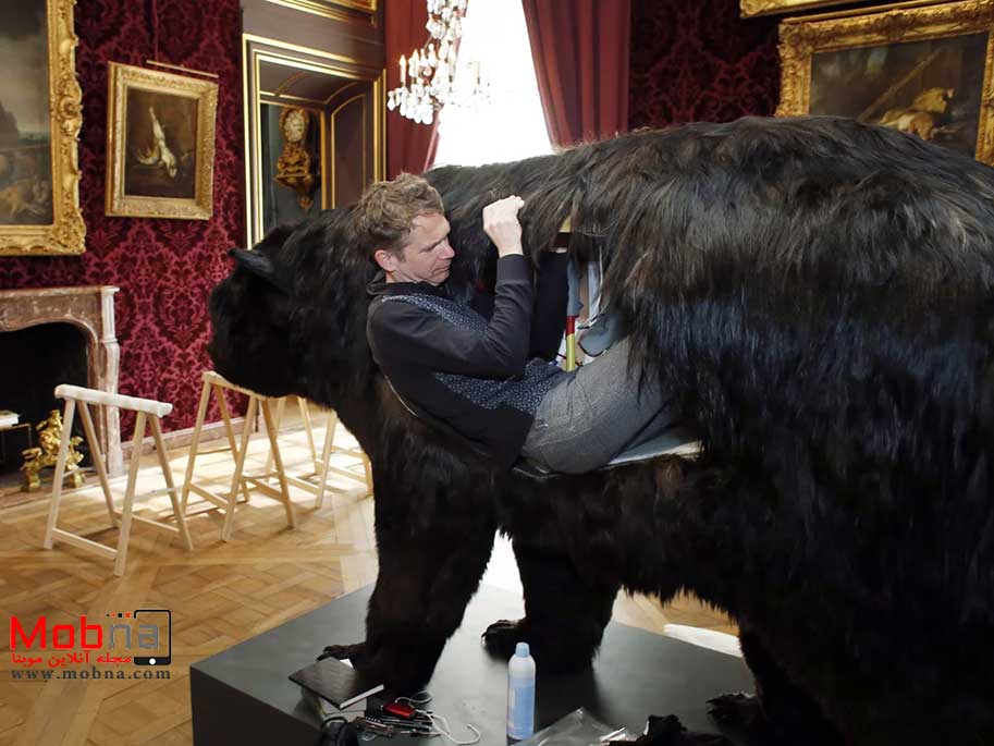 این بزرگترین خرس دنیا نبود اما قطعا تجربه ای عجیب در سال 2014 بود! (+عکس)