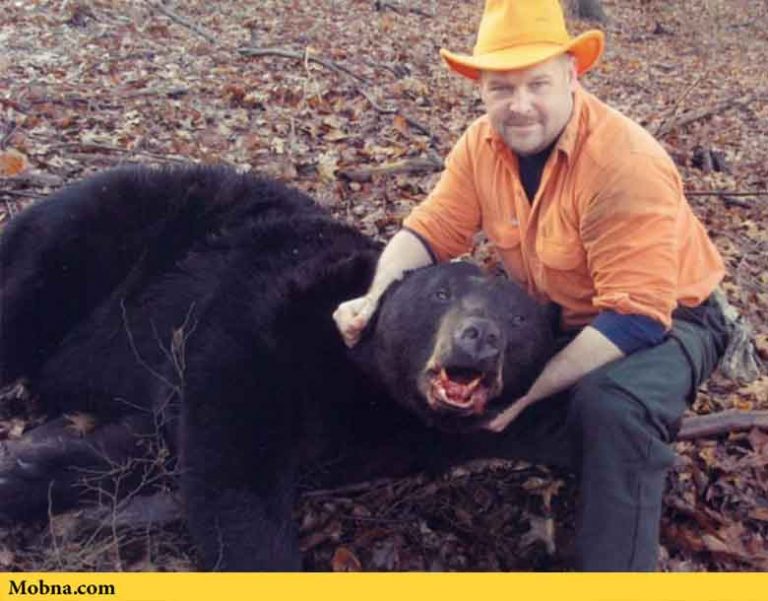 بزرگترین خرس‌هایی که روی زمین پا گذاشتند (+عکس)